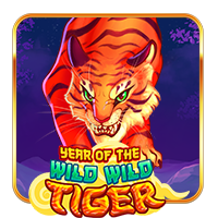 Year Of The Wild Wild Tiger